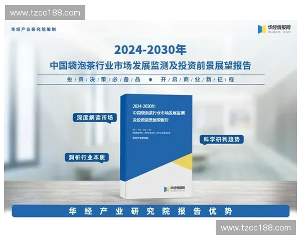 苏宁收购国际米兰背后战略布局分析与未来发展展望